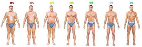 body-fat-percentage-men-1.jpg