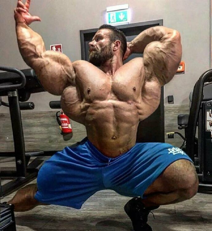 40 Recomended Chest workout bodybuilding forum 